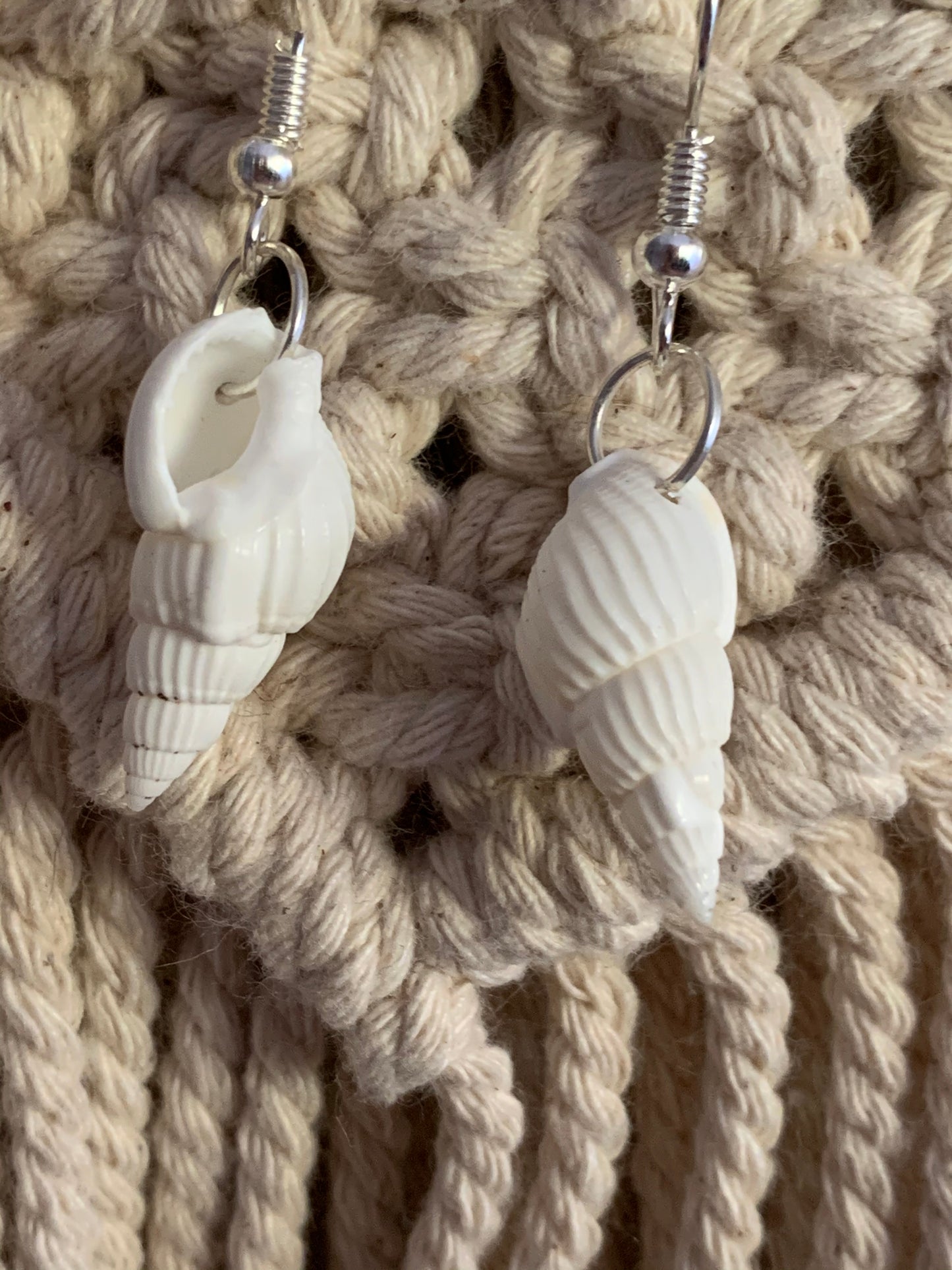 Conch Shell Earrings