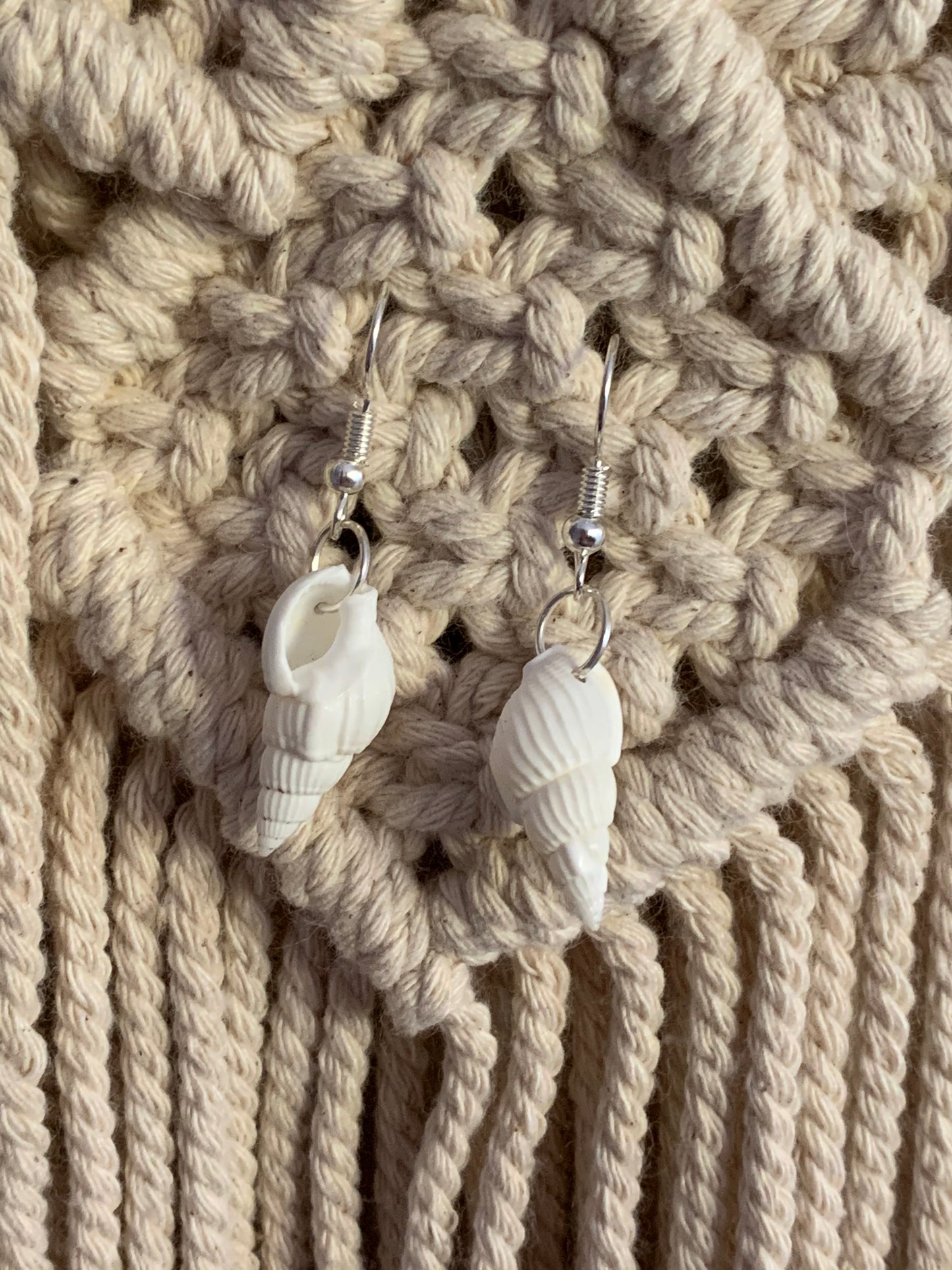 Conch Shell Earrings