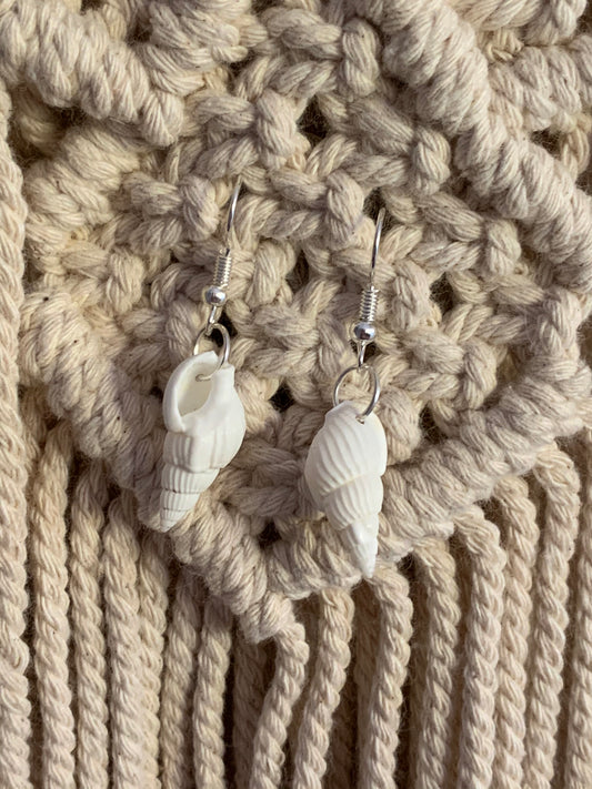 Conch Shell Earrings