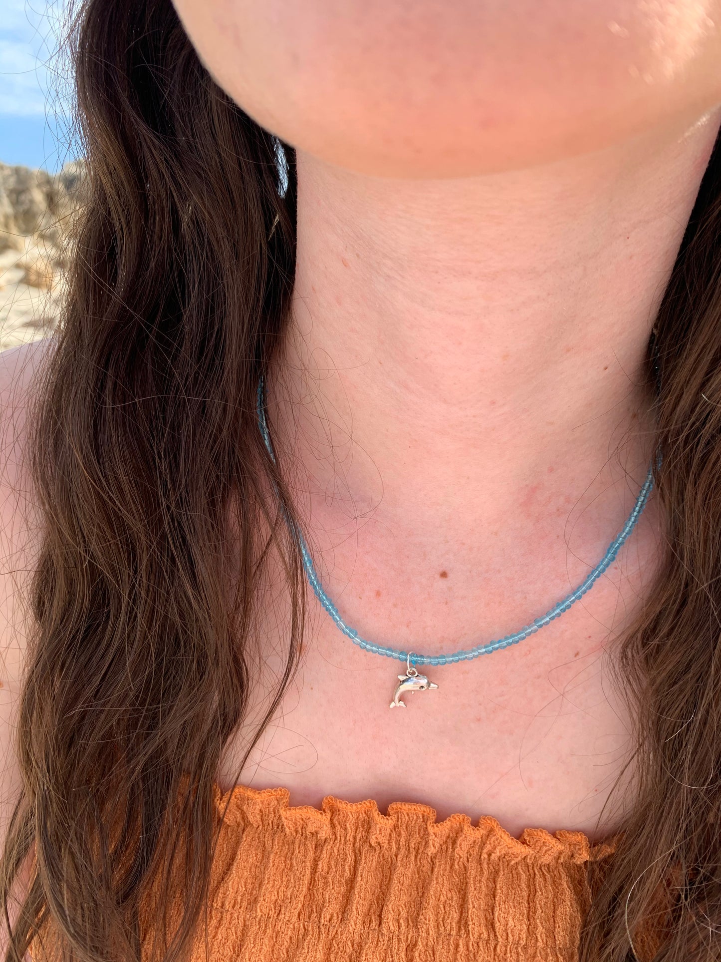 Dolphin Necklace