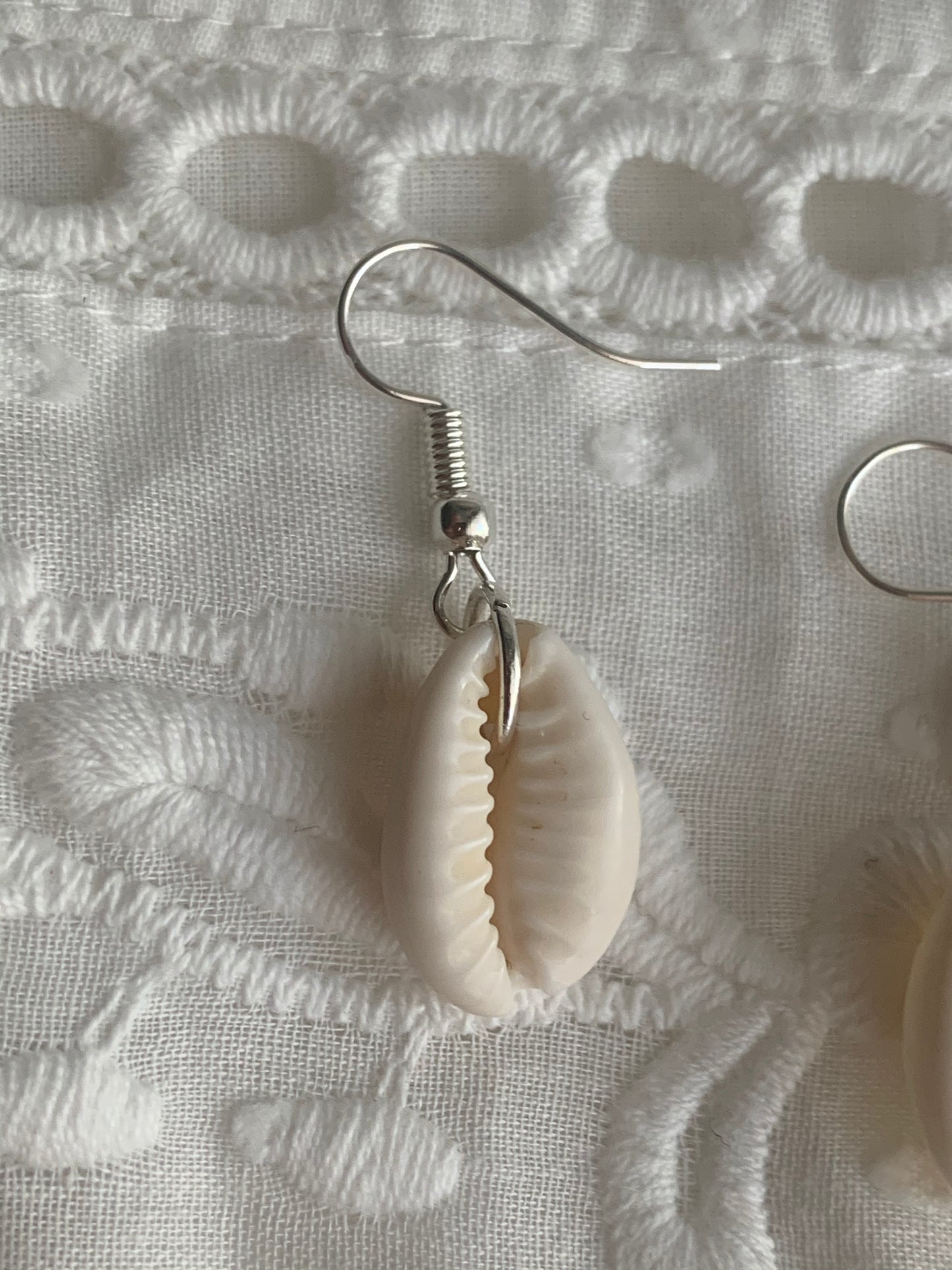 Cowrie Shell Earrings