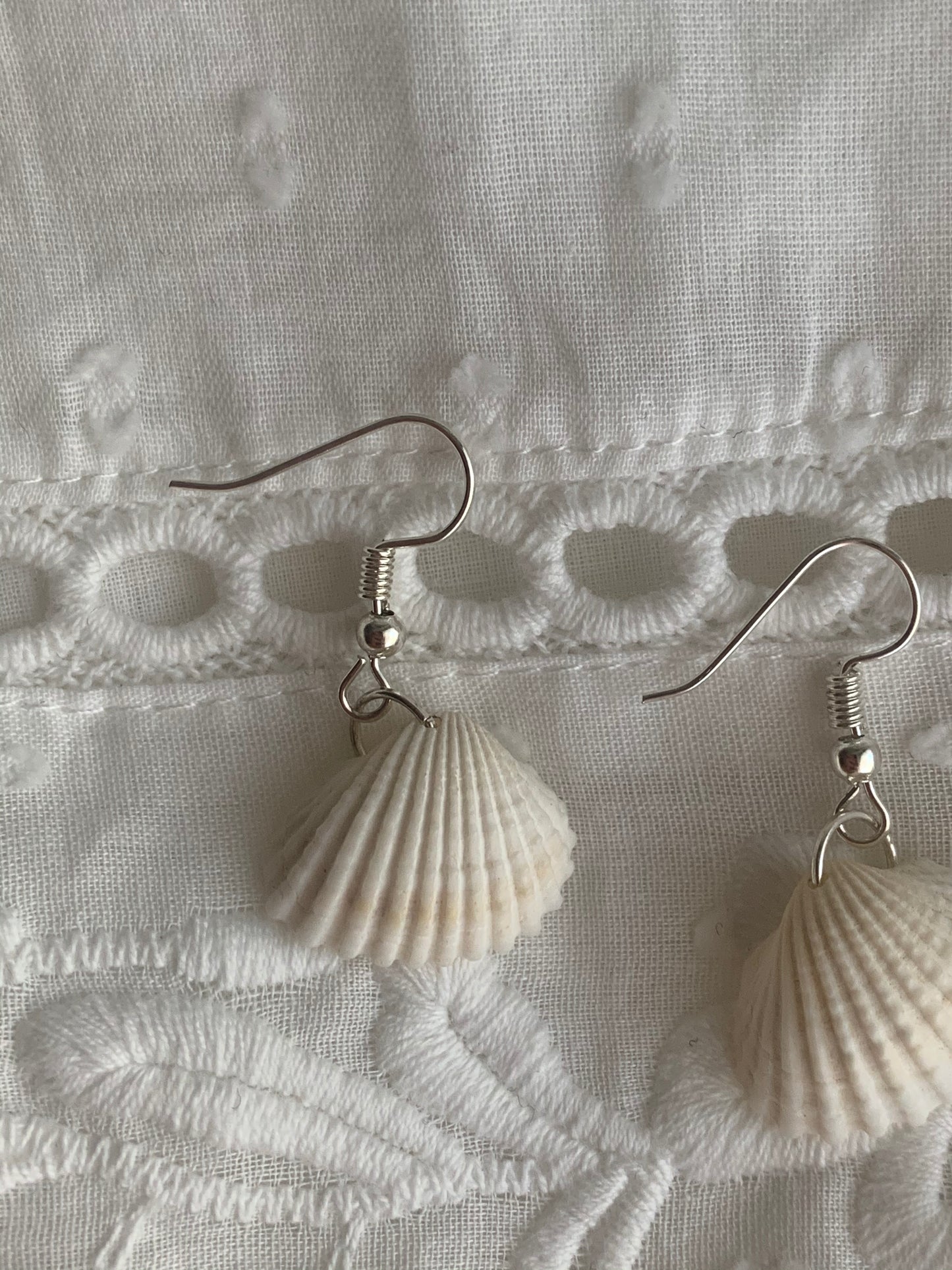 Sea Shell Earrings